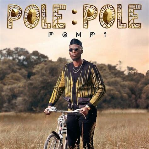 pole bandcamp|new album by pole.